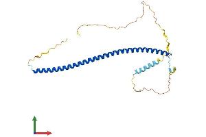AlphaFold protein structure predicition of Mouse Recombinant Cavin3 Protein, UniprotID Q91VJ2