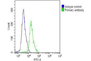 Overlay histogram showing Jurkat cells stained with (ABIN6243627 and ABIN6578589) (green line). (CCT8L2 antibody  (AA 92-124))