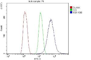 Flow Cytometry analysis of U20S cells using anti-IRS1 antibody (ABIN7599659). (IRS1 antibody  (AA 1041-1242))