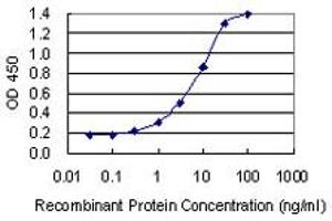 Detection limit for recombinant GST tagged KDM6A is 0. (KDM6A antibody  (AA 641-740))