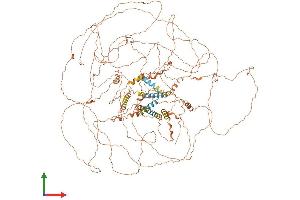 AlphaFold protein structure predicition of Human Recombinant SPATA31A3 Protein, UniprotID Q5VYP0 (SPATA31A3 Protein (AA 1-1347) (His tag))
