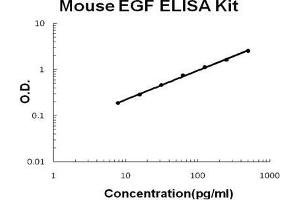 Mouse EGF PicoKine ELISA Kit standard curve (EGF ELISA Kit)