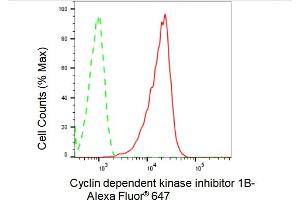 Flow cytometric analysis of Cyclin dependent kinase inhibitor 1B expression in HAP-1 cells using Cyclin dependent kinase inhibitor 1B antibody (ABIN7798223), 1:2,000). (Recombinant CDKN1B antibody)