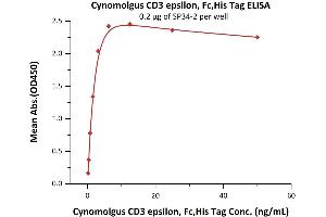 Immobilized SP34-2 at 2 μg/mL (100 μL/well) can bind Cynomolgus CD3 epsilon, Fc,His Tag (ABIN2180777,ABIN2180776) with a linear range of 0.