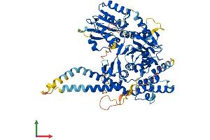 AlphaFold protein structure predicition of Mouse Recombinant Scfd1 Protein, UniprotID Q8BRF7