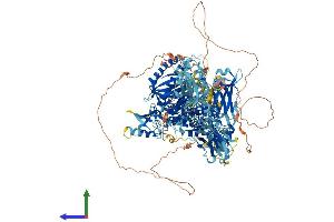 Protein Structure (PS) image for Phosphatidylinositol-4-Phosphate 3-Kinase, Catalytic Subunit Type 2 gamma (PIK3C2G) (AA 1-1506) protein (His tag) (ABIN7562514)