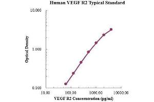 VEGF Receptor 2 (VEGFR2) ELISA Kit
