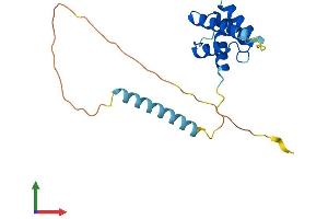 AlphaFold protein structure predicition of Human Recombinant C7orf50 Protein, UniprotID Q9BRJ6 (C7orf50 Protein (AA 1-194) (His tag))