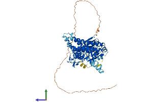 AlphaFold protein structure predicition of Human Recombinant ARIH1 Protein, UniprotID Q9Y4X5 (ARIH1 Protein (AA 1-557) (His tag))