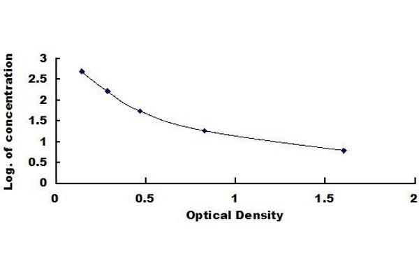 OXM ELISA Kit