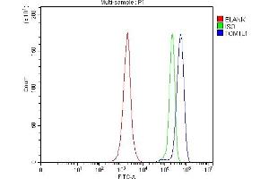 Flow Cytometry analysis of JK cells using anti-TOM1L1 antibody (ABIN7602631).