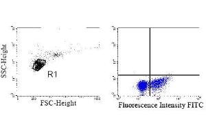 Intracellular detection of granzyme B in human PBMC Mononuclear cells from peripheral blood (PBMC) were seperated by Ficoll-Hypaque,  cultivated for 6h in the presence of phorbolester and ionomycin, fixed and permeabilised.