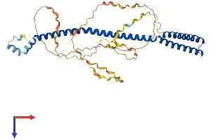 AlphaFold protein structure predicition of Human Recombinant VPS37C Protein, UniprotID A5D8V6 (VPS37C Protein (AA 1-355) (His tag))