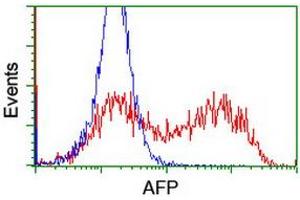 HEK293T cells transfected with either RC206622 overexpress plasmid (Red) or empty vector control plasmid (Blue) were immunostained by anti-AFP antibody (ABIN2454038), and then analyzed by flow cytometry. (alpha Fetoprotein antibody)