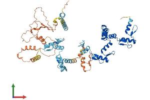 AlphaFold protein structure predicition of Human Recombinant ZNF674 Protein, UniprotID Q2M3X9 (ZNF674 Protein (AA 1-581) (His tag))