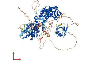 Protein Structure (PS) image for Ral Guanine Nucleotide Dissociation Stimulator-Like 2 (RGL2) (AA 1-777) protein (His tag) (ABIN7551377)