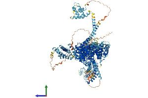 AlphaFold protein structure predicition of Mouse Recombinant Ncapd2 Protein, UniprotID Q8K2Z4 (NCAPD2 Protein (AA 1-1392) (His tag))