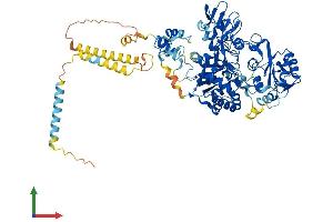 Protein Structure (PS) image for Mannosyl (Alpha-1,6-)-Glycoprotein beta-1,6-N-Acetyl-Glucosaminyltransferase (MGAT5) (AA 1-741) protein (His tag) (ABIN7554577)