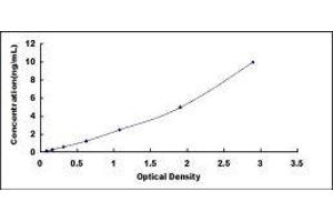 Chemokine (C-C Motif) Ligand 3-Like 1 (CCL3L1) ELISA Kit