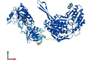 Protein Structure (PS) image for Aldehyde Dehydrogenase 1 Family, Member L1 (ALDH1L1) (AA 1-902) protein (His tag) (ABIN7559647)