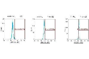 Flow Cytometry (FACS) image for anti-Cathepsin E (CTSE) (AA 57-363) antibody (APC) (ABIN5565230) (Cathepsin E antibody  (AA 57-363) (APC))