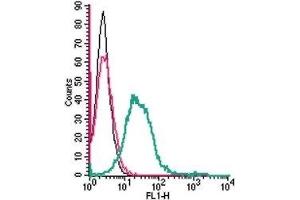 Cell surface detection of MERTK in live intact mouse BV-2 microglia cell line: (black line) Cells.