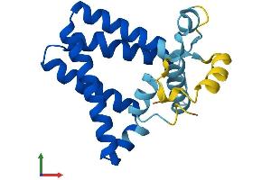 Protein Structure (PS) image for PRA1 Domain Family, Member 2 (PRAF2) (AA 1-178) protein (His tag) (ABIN7561546)