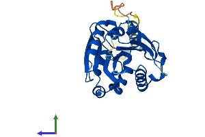 Protein Structure (PS) image for Abhydrolase Domain Containing 14A (ABHD14A) (AA 1-247) protein (His tag) (ABIN7560235)