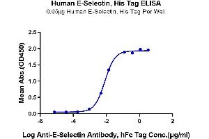 ELISA image for Selectin E (SELE) (AA 22-556) protein (His-Avi Tag) (ABIN7274572)
