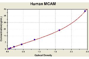 Diagramm of the ELISA kit to detect Human MCAMwith the optical density on the x-axis and the concentration on the y-axis.