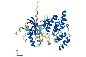 AlphaFold protein structure predicition of Mouse Recombinant Mapk8 Protein, UniprotID Q91Y86 (JNK Protein (AA 1-384) (His tag))