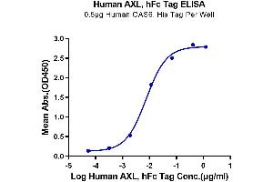 Immobilized Human GAS6, His Tag at 5 μg/mL (100 μL/well) on the plate.