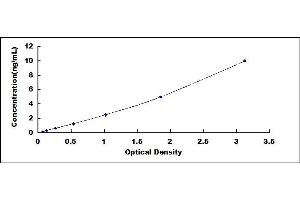 Typical standard curve (CXCR6 ELISA Kit)