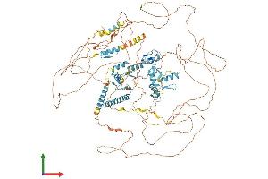 Protein Structure (PS) image for RE1-Silencing Transcription Factor (REST) (AA 1-1082) protein (His tag) (ABIN7564773)