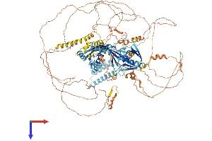 AlphaFold protein structure predicition of Mouse Recombinant Tex2 Protein, UniprotID Q6ZPJ0
