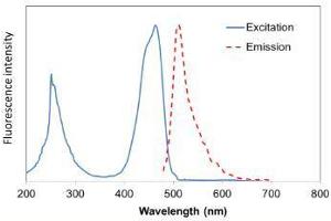 Image no. 2 for FluoroVue™ Nucleic Acid Gel Stain (10,000X) (ABIN5662588)