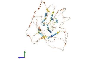 AlphaFold protein structure predicition of Human Recombinant SPATA31D3 Protein, UniprotID P0C874 (SPATA31D3 Protein (AA 1-917) (His tag))