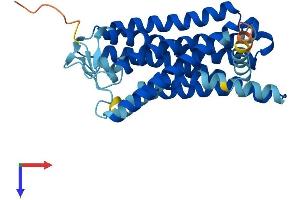 Olfactory Receptor, Family 2, Subfamily G, Member 6 (OR2G6) (AA 1-316) protein (His tag)