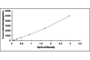 Typical standard curve (INHBC ELISA Kit)