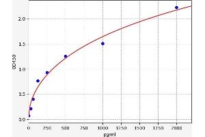 Typical standard curve (MCL-1 ELISA Kit)