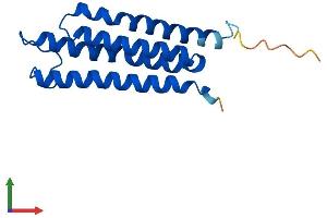 AlphaFold protein structure predicition of Human Recombinant MGST3 Protein, UniprotID O14880
