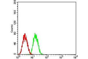 Flow cytometric analysis of HepG2 cells using GLI1 mouse mAb (green) and negative control (red). (GLI1 antibody  (AA 284-449))