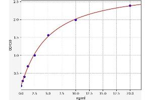 Angiotensin I Converting Enzyme (Peptidyl-Dipeptidase A) 1 (ACE) ELISA Kit