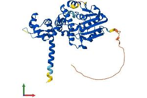 AlphaFold protein structure predicition of Mouse Recombinant Asmt Protein, UniprotID D3KU66