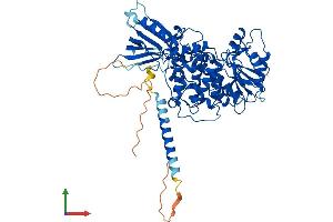 AlphaFold protein structure predicition of Human Recombinant MTM1 Protein, UniprotID Q13496 (MTM1 Protein (AA 1-603) (His tag))