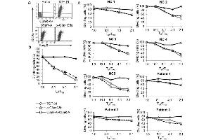 (a) Flow sorted human CD45RA+CD25−CD4+ T cells (1×106) were incubated for 3 days with soluble anti-CD3 mAb (3 μg/ml), rhIL-2 (5 ng/ml), and 2. (C3a antibody)