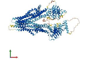 AlphaFold protein structure predicition of Human Recombinant ABCC4 Protein, UniprotID O15439 (ABCC4 Protein (AA 1-1325) (His tag))