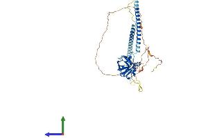 AlphaFold protein structure predicition of Mouse Recombinant Spag4 Protein, UniprotID Q9JJF2