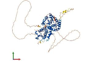 CDC14A Protein (AA 1-603) (His tag)
