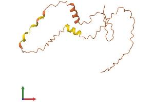AlphaFold protein structure predicition of Human Recombinant SMCR5 Protein, UniprotID Q8TEV8 (SMCR5 Protein (AA 1-140) (His tag))